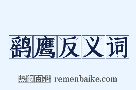 鹞鹰反义词是什么意思的图片